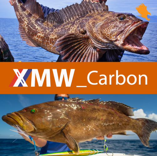 30-80lb | 7' | 1pc | XMW_Carbon | 6 Power | Jigging