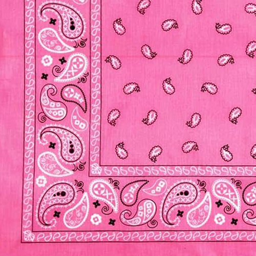 Amazon.com: Bandana on Canvas Wired Edge Ribbon, 10 Yards